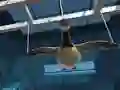 遊戲Goose Museum在線