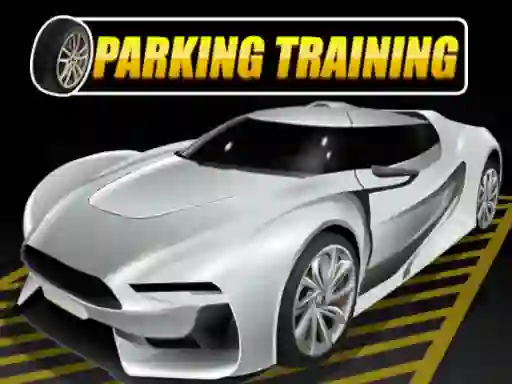 遊戲Parking Training在線