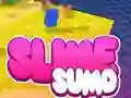 遊戲Sumo Slime 3D在線