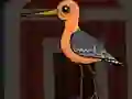 遊戲Cute Godwit Escape在線
