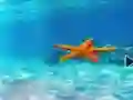 遊戲Escape From Underwater Starfish在線