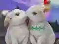 遊戲Rescue The Cupid在線