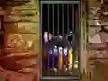 遊戲Hidden Cat Escape在線