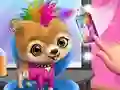 遊戲 Rock Star Animal Hair Salon在線