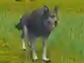 遊戲The Wolf: Wild Animal Simulator在線