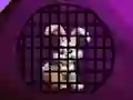 遊戲Silly Rabbit Rescue在線