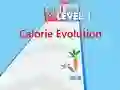 遊戲Calorie Evolution在線