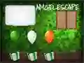 遊戲Amgel St Patrick's Day Escape 3在線