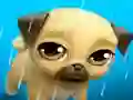 遊戲My Virtual Pet Louie the Pug在線