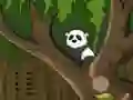 遊戲Panda Jungle Escape在線