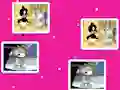 遊戲Baby Looney Tunes Match Up在線