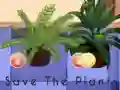 遊戲Save the Plants在線