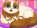遊戲Cute Kitty Pregnant在線