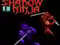 遊戲Shadow of the Ninja在線