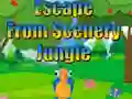 遊戲Escape from Scenery Jungle在線