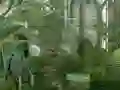 遊戲Mystery Garden Escape在線