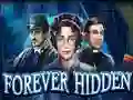 遊戲Forever Hidden在線