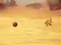 遊戲Monkey Shooting在線