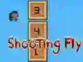 遊戲Shooting Fly在線