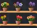 遊戲Good Flower Master在線