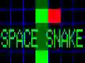 遊戲Space Snakes在線