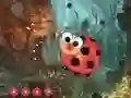 遊戲Cute Ladybug Land Escape在線