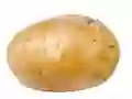 遊戲Potato在線