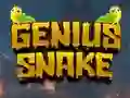 遊戲Genius Snake在線