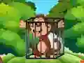 遊戲Free the Captive Ape在線