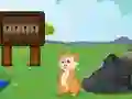 遊戲Rescue the Squirrel from Stone在線