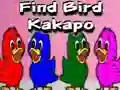 遊戲Find Bird Kakapo在線