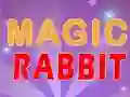 遊戲Magic Rabbit在線