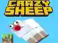 遊戲Crazy Sheep在線