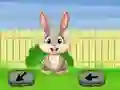 遊戲Springtime Escape在線