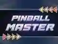 遊戲Pinball Master在線