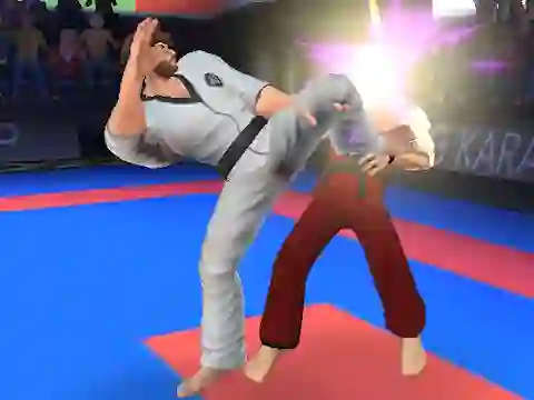 遊戲Karate Fighter在線