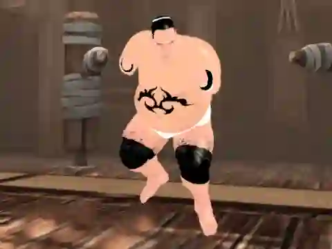 遊戲Sumo Fury在線