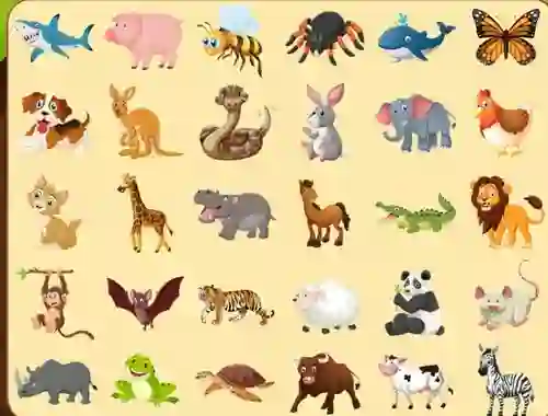 遊戲Discover Animals在線