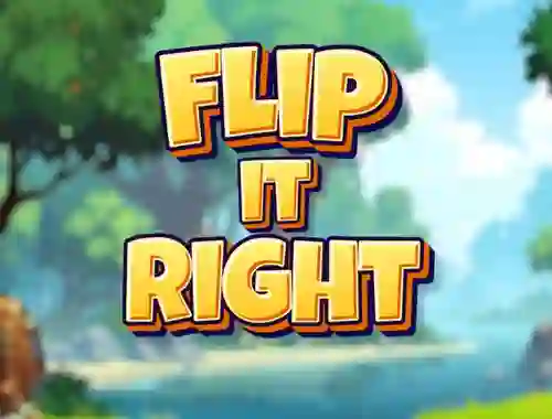 遊戲Flip It Right在線