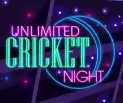 遊戲Unlimited Cricket Night在線