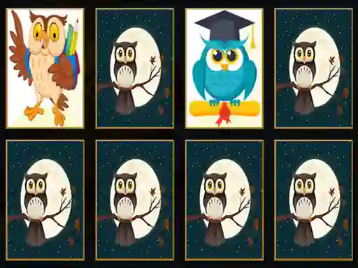 遊戲Cute Owl Memory在線