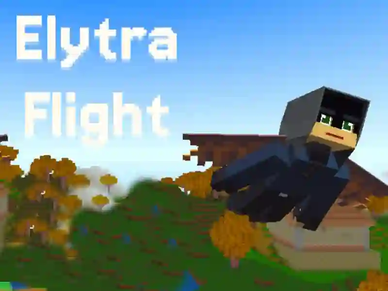 遊戲Elytra Flight在線