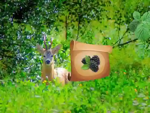 遊戲Return To Alsunga Forest在線