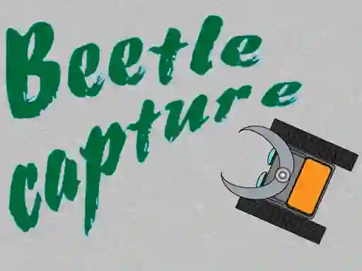 遊戲Beetle Capture在線