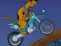 遊戲Scooby Doo Trail在線
