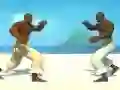 遊戲Capoeira fighter在線