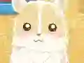 遊戲Hamster Love在線