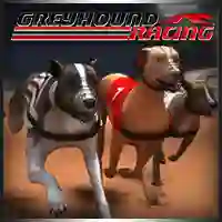 遊戲Greyhound Racing在線