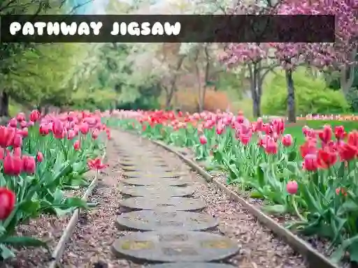 遊戲Pathway Jigsaw在線