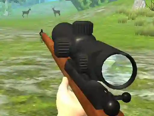 遊戲Hunter 3D在線